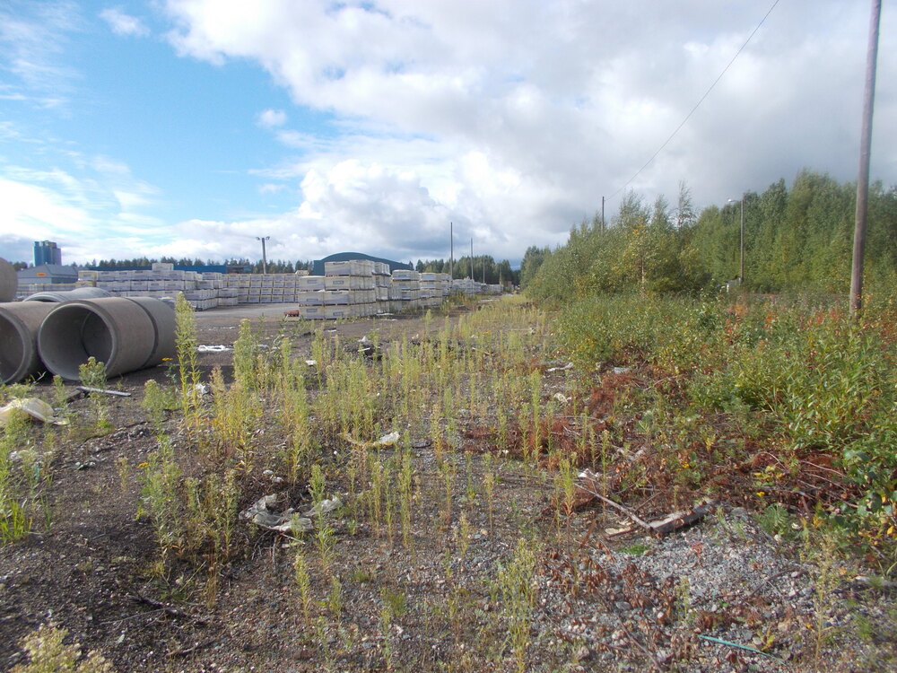 Lakan Betonin raide Joensuussa 16.9.2017
...tai ennemminkin sen jäänteet. Pilkon teollisuusraiteista Käpynkankaan puoleinen purettiin pois  2010-luvun puolen välin jälkeen. Liikennettä tällä raiteella on todistetusti ollut vielä 2010-luvuna alkuvuosina, eli kovin montaa vuotta eivät raiteet liikenteen loppumisen jälkeen seisseet.
Avainsanat: rautatiearkeologia