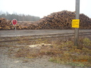 Tiedostonimi=20151024_132851_DSCN2254.JPG
Tiedostokoko=4059kt
Koko=3264x2448
Lisätty=%06.%07.%2025 20151024_132851_DSCN2254.JPG