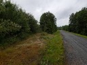 20190709_141852.jpg