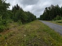 20190709_142243.jpg
