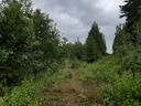 20190709_142331.jpg