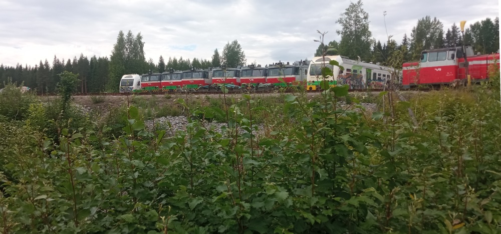 Hylättyä kalustoa Pieksämäen konepajan romulaanilla 18.6.2024
Dm12-kiskobusseja, Sr1-sähkövetureita sekä Dv12-dieselvetureita nostettuna raiteilta odottamaan lopullista kohtaloaan Pieksämäen konepajan takapihalla.
Avainsanat: op_VR;jyv_Dm12;jyv_Dv12;jyv_Sr1;rautatiearkeologia