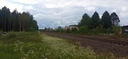 20240618_165056.jpg
