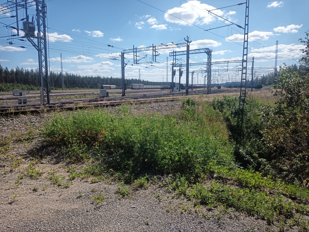 Pieksämäki lajittelu pohjoisesta käsin 4.7.2021
Tavara sekä vanha laskumäki jäävät selän taakse. Ratapihalla oli paljon tyhjiä raakapuuvaunuja, mutta myös eri tyyppisiä välisäilytyksessä olevia tavaravaunuja, säiliöletka (Varkauden öljyliikennettä?), Kommilaan lähdössä ollut tyhjä kartonkijuna, konepajalle romutukseen menossa ollut Sm1, sekä vähän kaikkea muutakin.
