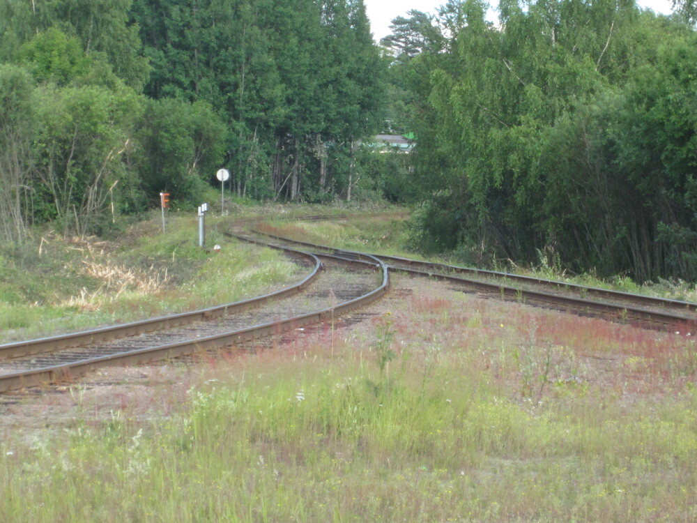 Kartonkitehtaan raide 14.7.2015
Kartonkitehtaan raidetta Valtatien tasoristeykseltä aseman suuntaan. Taaempana näkyy Inkeroisista lähdössä ollut paperijuna.
