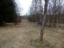 20170515_164142.jpg