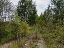 20250820_172818_hdr.jpg