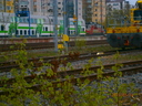 20140514_P5140475.JPG
