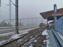 20250127_134141.jpg