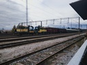 20260425_133228.jpg