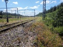 20210704_131547.jpg