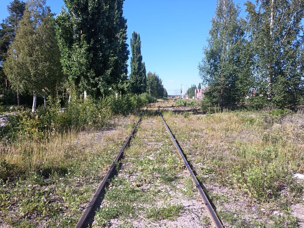 Tulosuunta Temun kuormausalueelle 4.7.2021
Temun raakapuunkuormauspaikalle kulku käy varikon länsipuoliselta ohitusraiteelta. Kuormauspaikka on selän takana.
