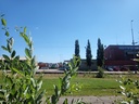 20210704_122425.jpg
