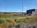 20210704_152030.jpg