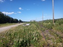 20210704_153353.jpg