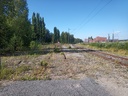 20210704_164833.jpg