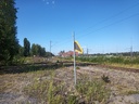 20210704_164846.jpg