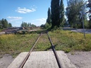 20210704_164917.jpg